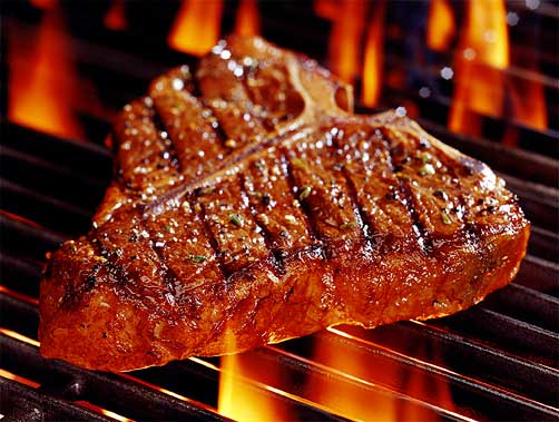 Carnivore!